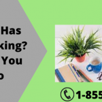 QuickBooks Has Stopped Working Here’s What You Should Do